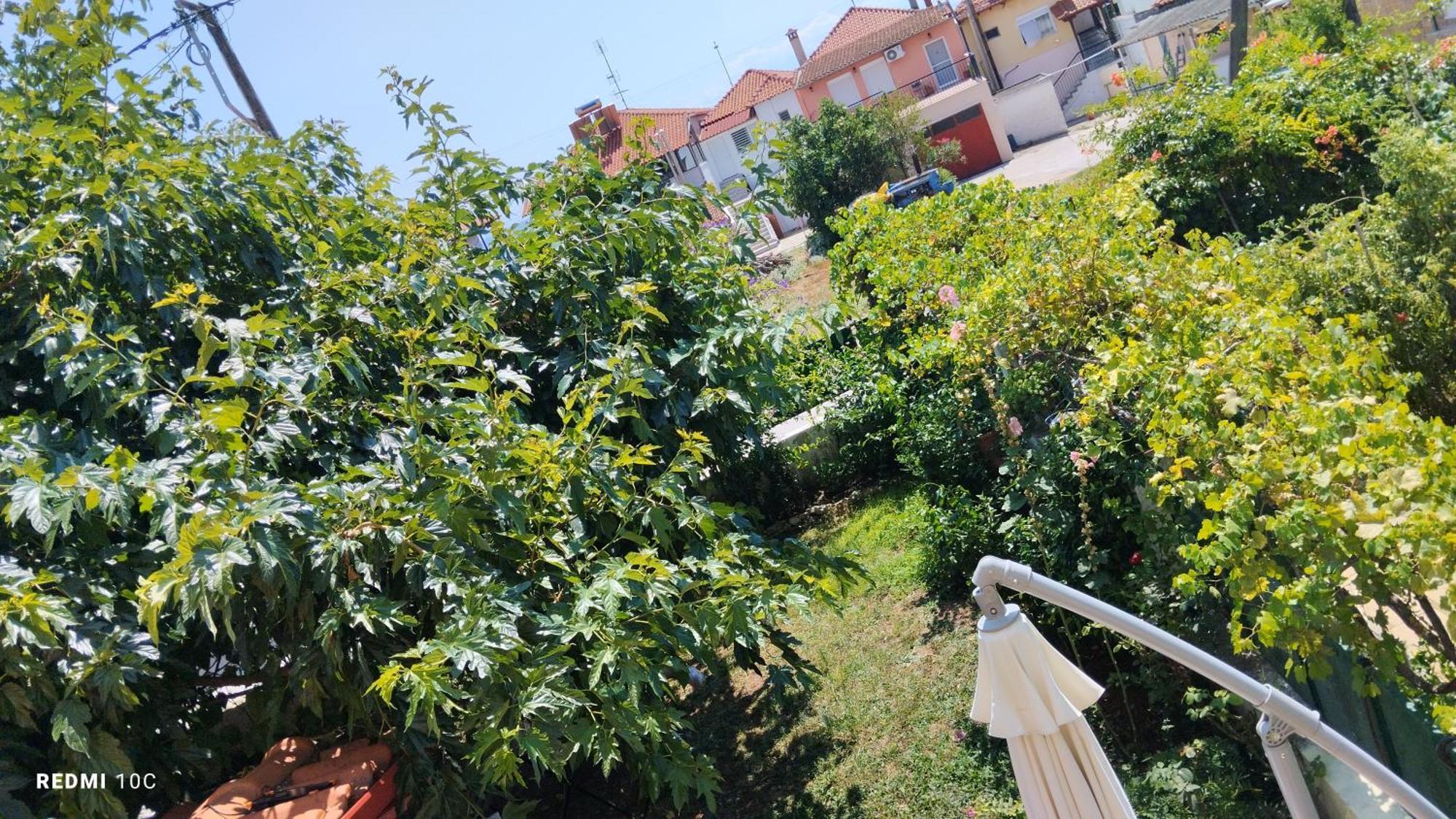 Holiday Home In Chalkidiki, Lakkoma Exterior foto